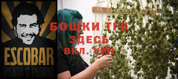 прущий лед Вязьма
